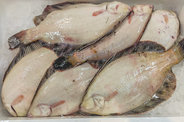 クロガレイ 八面六臂