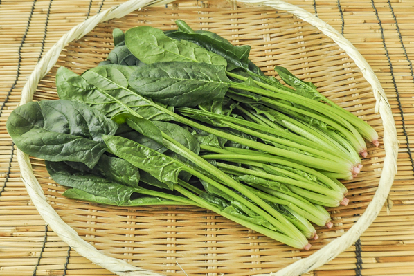 ホウレンソウ 八面六臂