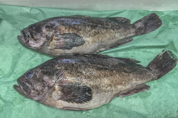 魚の身に黒い粒が多数付着しているのですが これは何ですか 八面六臂