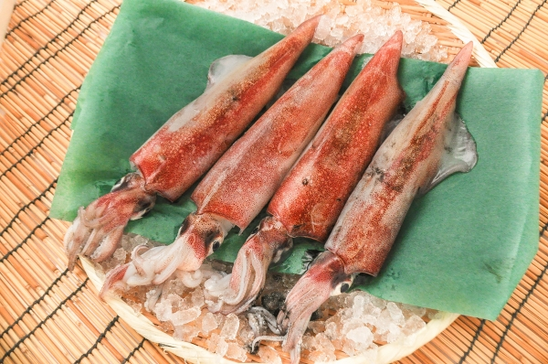ケンサキイカ 3段 八面六臂