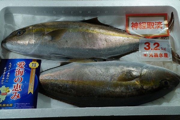 Img Hachimenroppi Com Image Php F Cz26stuo Adir