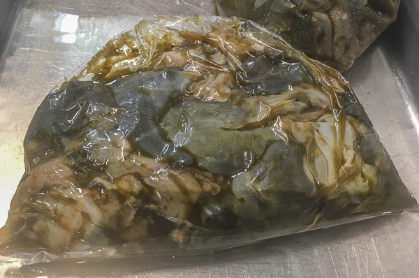 アワビの肝 八面六臂