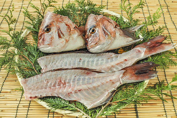 養殖真鯛のアラ 頭 骨 八面六臂