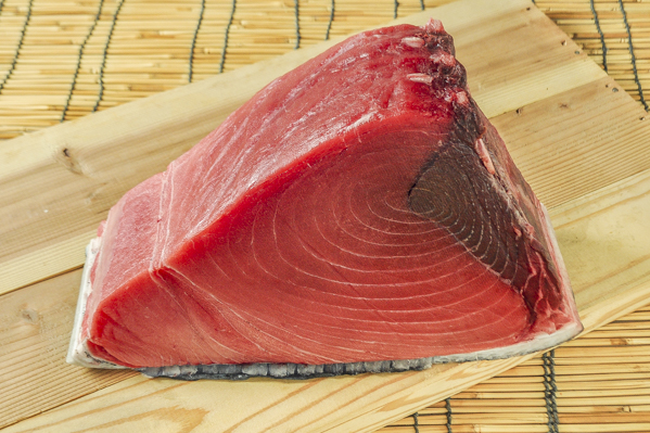 養殖生本マグロ 背中 八面六臂