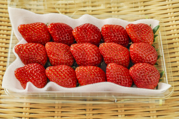 いちご とちおとめ Dxサイズ 八面六臂