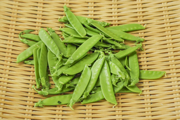 絹さや 八面六臂