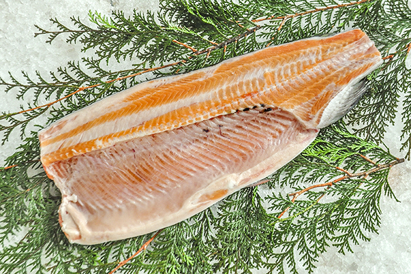 国産養殖サーモン トラウト 八面六臂