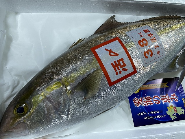 カンパチ 八面六臂