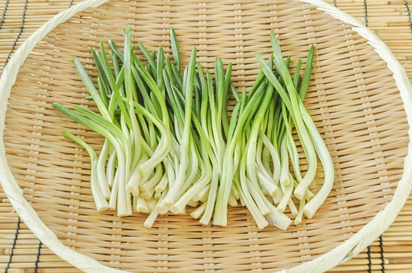 あさつき 八面六臂