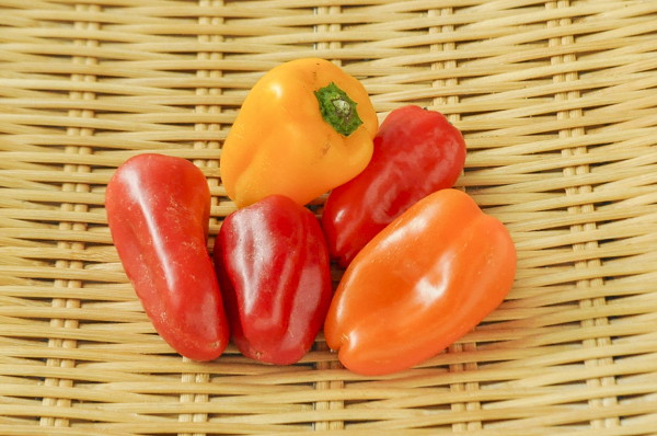 ミックスミニパプリカ 八面六臂