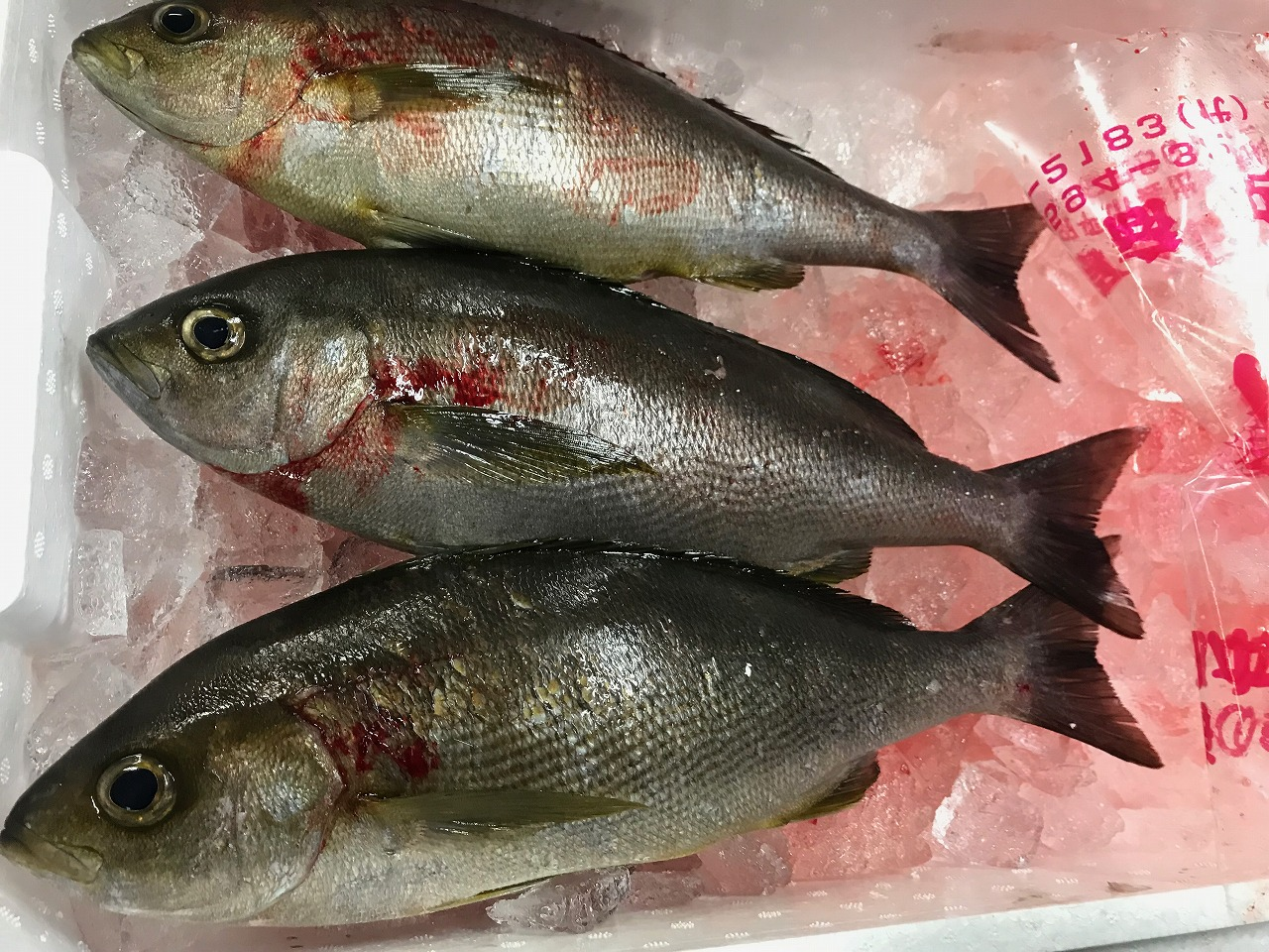 値賀咲 八面六臂