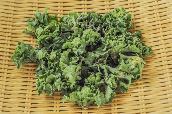 プチベール 八面六臂