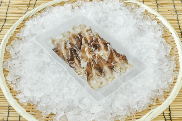 ムキトリ貝 八面六臂