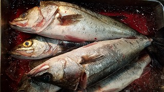 スズキ 八面六臂