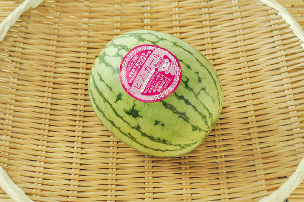 小玉スイカ ピノガール 6玉サイズ 八面六臂