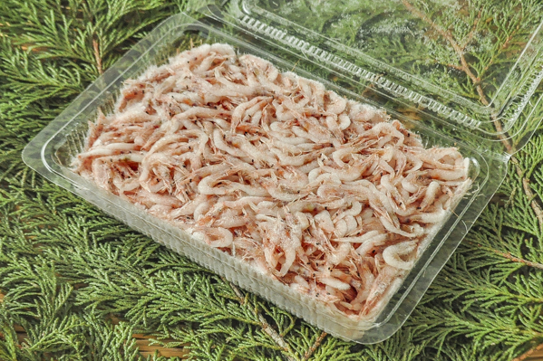 宵売り桜えび 冷凍 八面六臂