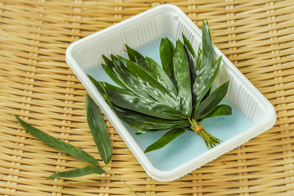 徳島笹葉 八面六臂