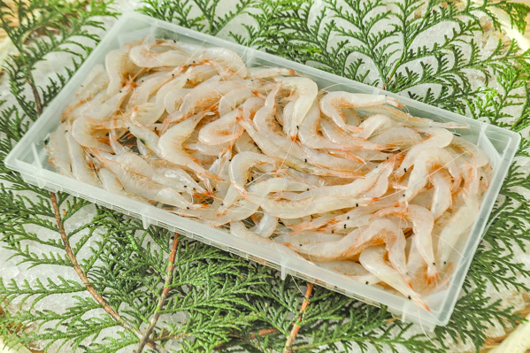 殻付き白えび 解凍 八面六臂