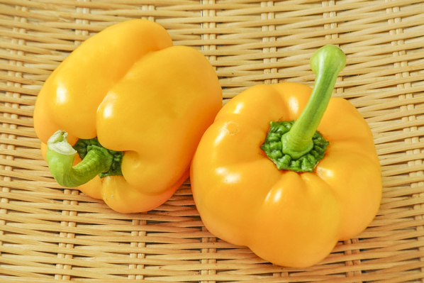 パプリカ L イエロー 八面六臂