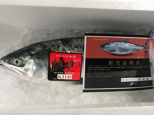 鮭児 八面六臂