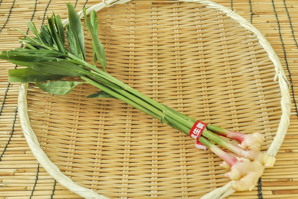 葉しょうが 八面六臂