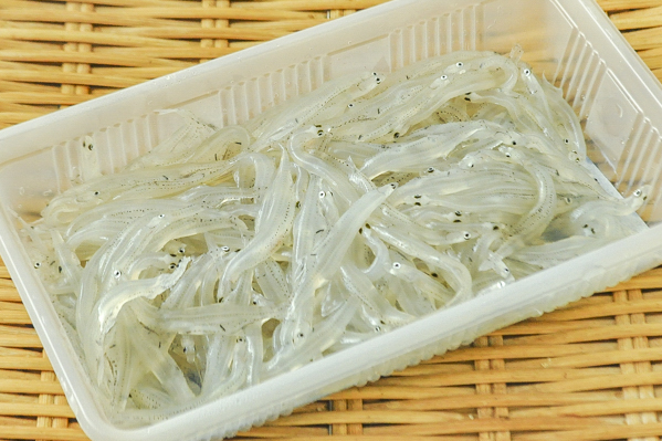 生白魚 八面六臂