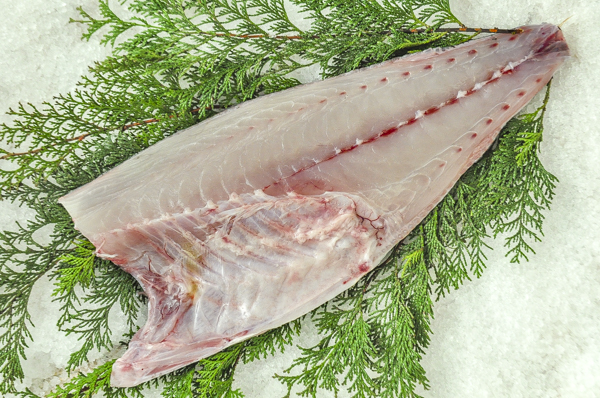 メダイ 特上 半身 八面六臂