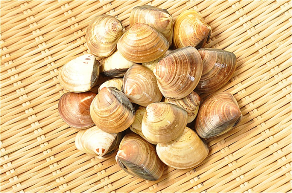 ハマグリ 八面六臂