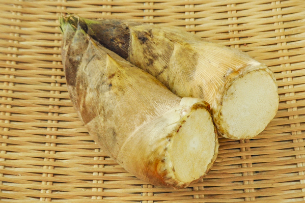 タケノコ 八面六臂