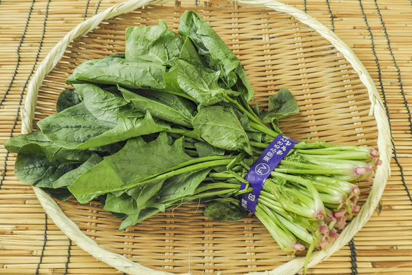 ほうれん草 束 八面六臂