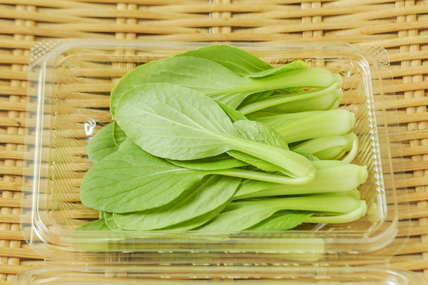 菜 チンゲン