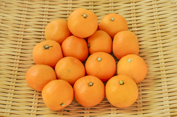 賢太郎みかん ゆら早生 Sサイズ 八面六臂