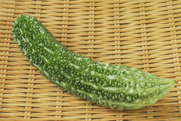 ゴーヤー B 八面六臂