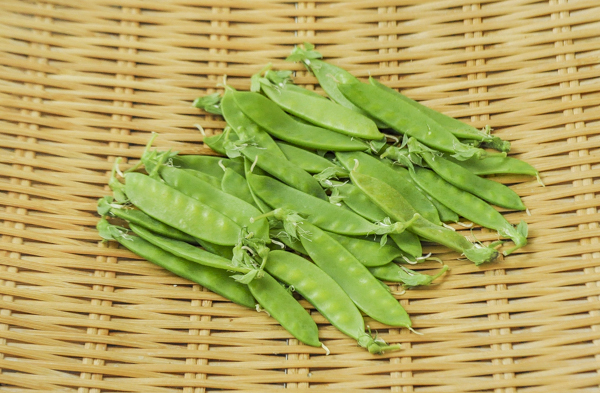 絹さや 八面六臂