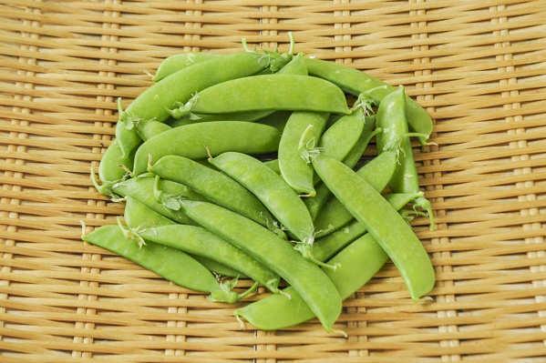 絹さや 八面六臂