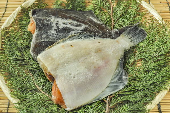 子持浅羽カレイ ドレス 八面六臂