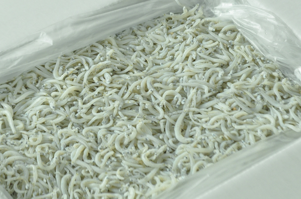 釜揚げしらす 八面六臂