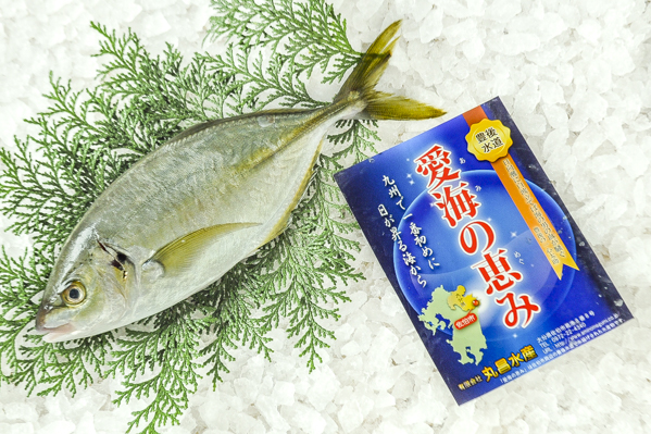 シマアジ 八面六臂