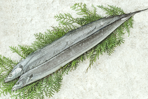 タチウオ 網物 八面六臂