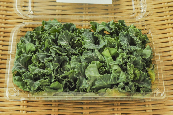 プチベール 八面六臂