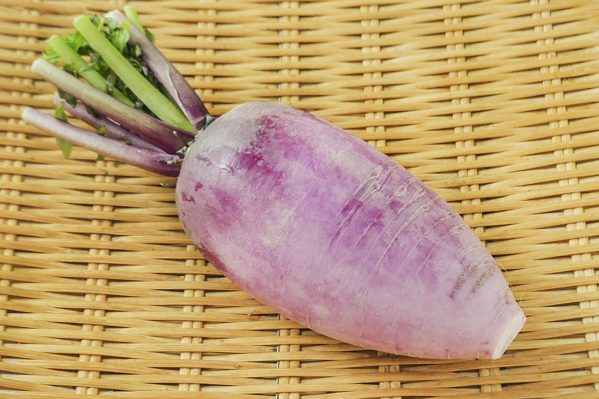 紫大根 味一 8本サイズ 八面六臂