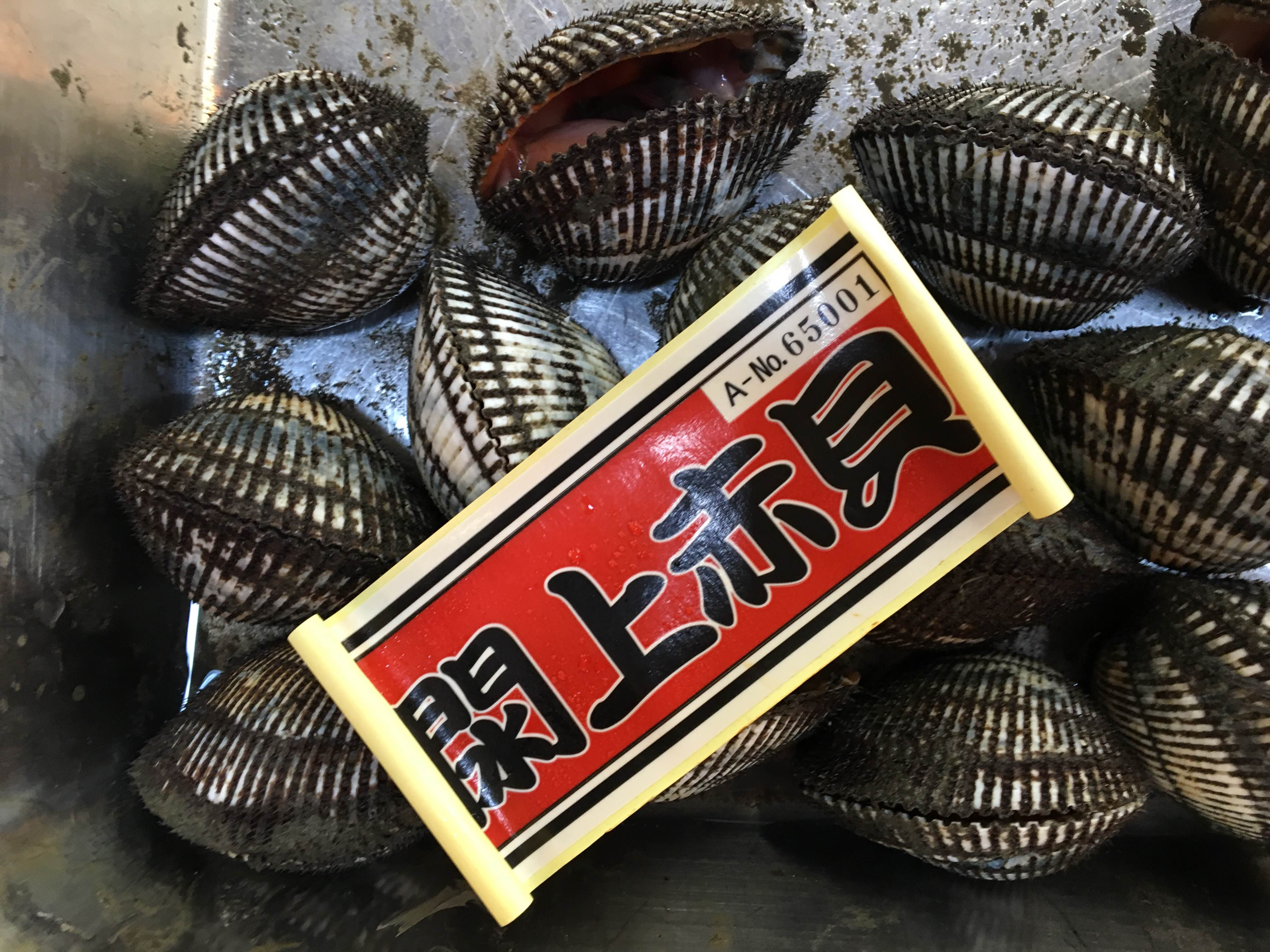 赤貝 殻付 八面六臂