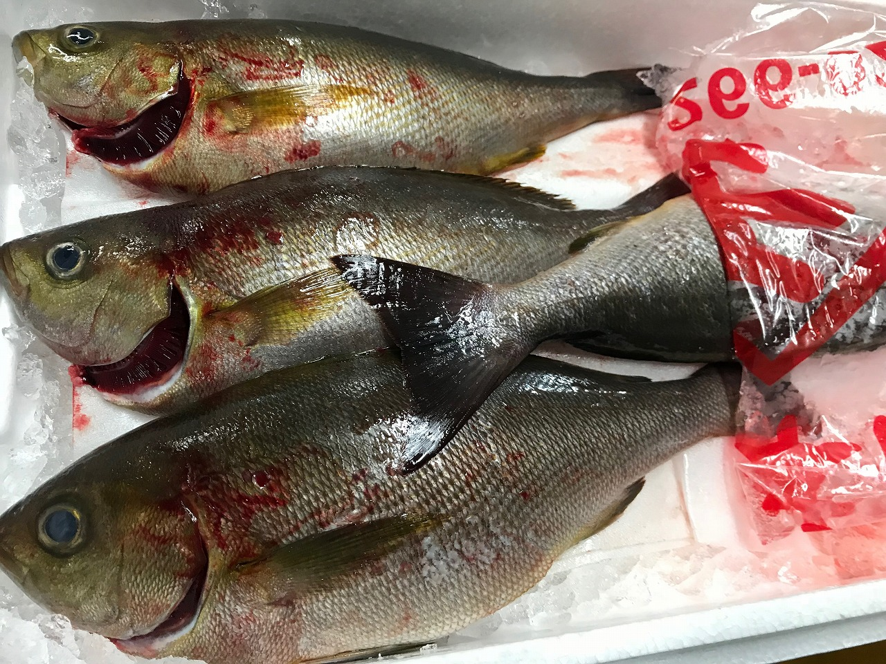値賀咲 八面六臂