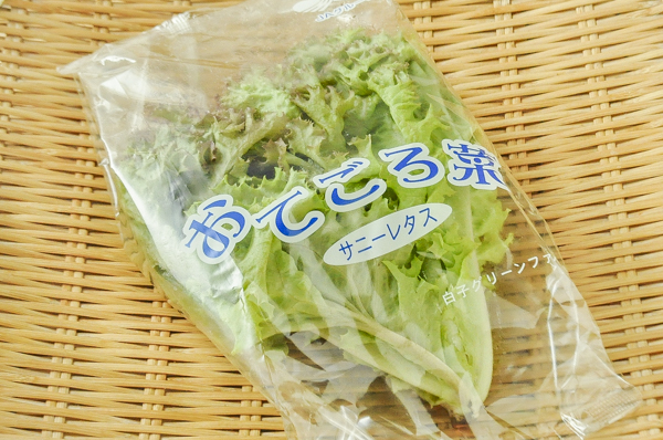 水耕サニーレタス おてごろ菜 八面六臂