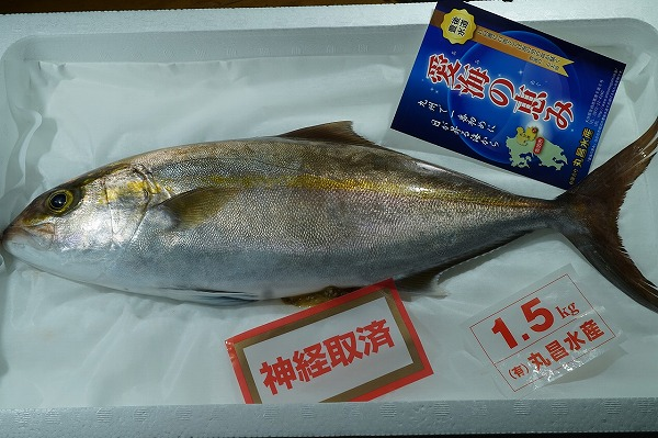 Img Hachimenroppi Com Image Php F Czeus8gd Adir