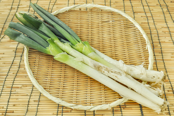 上州ねぎ M 八面六臂