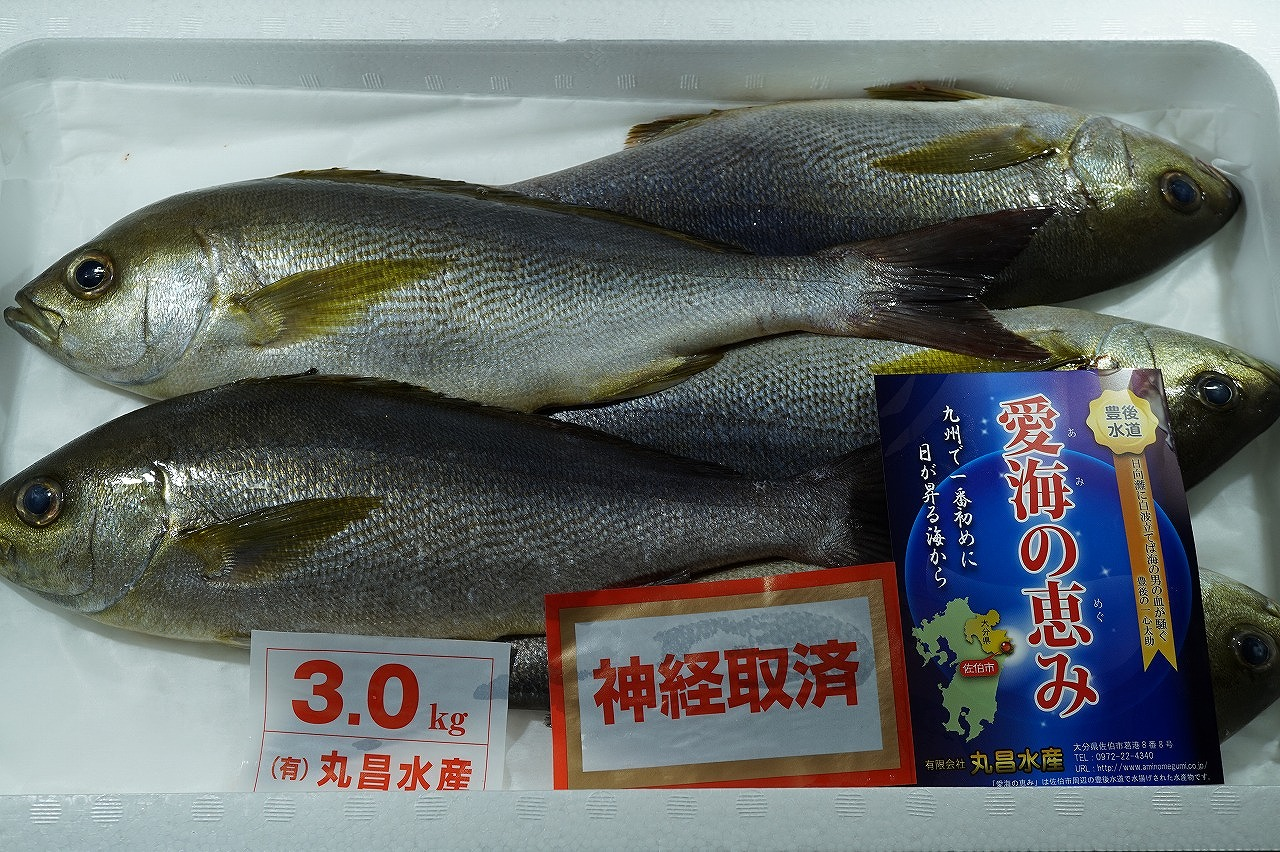 関いさき 八面六臂