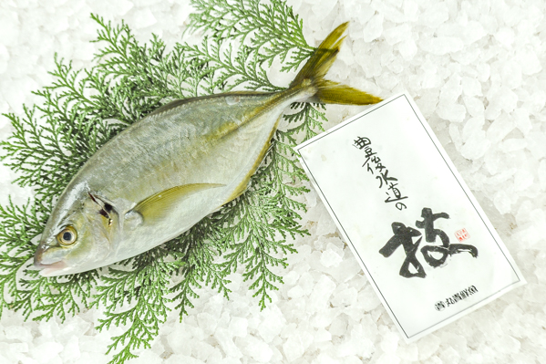 シマアジ 八面六臂