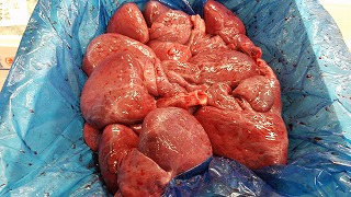 モウカの星 八面六臂