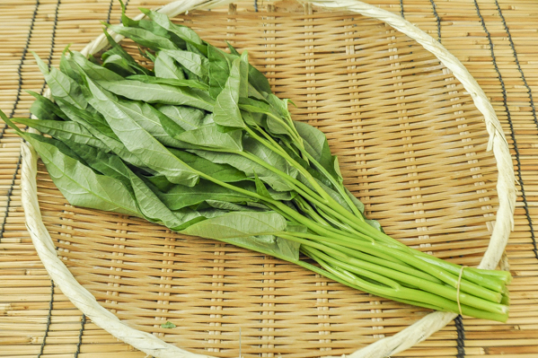 空芯菜 八面六臂